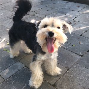 Meet your Posher, Emma